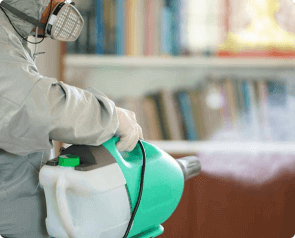 Home Cleaning