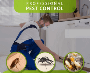 Home Cleaning